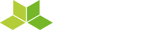 Licence en Informatique ITU